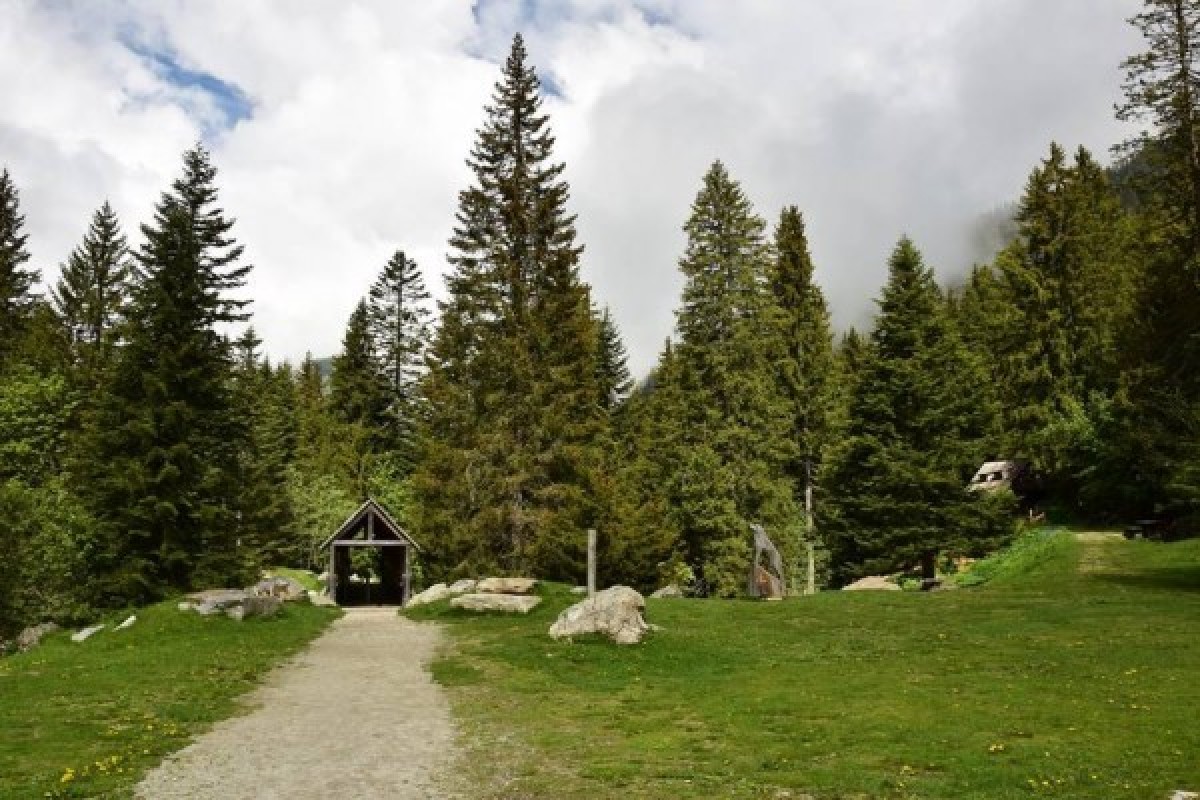 Carer for a day - Parc des Loups - Expérience Côte d'Azur