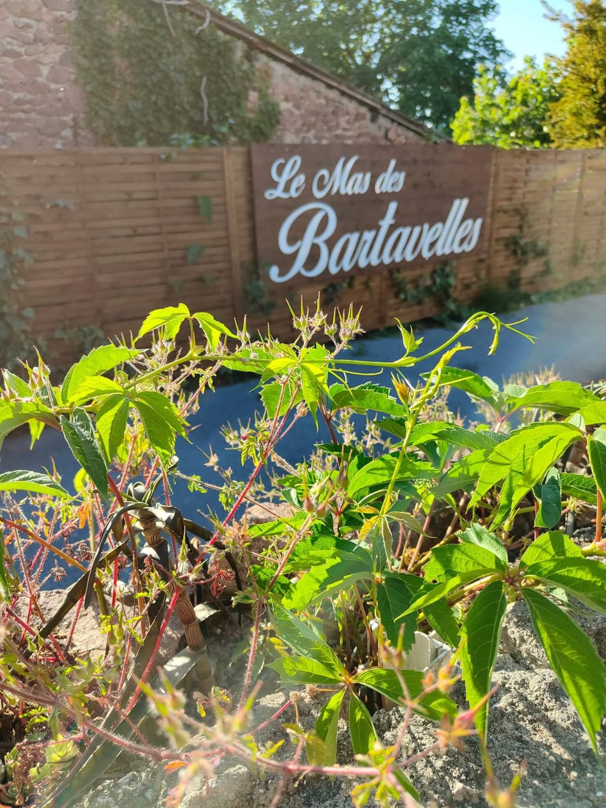  - Expérience Côte d'Azur