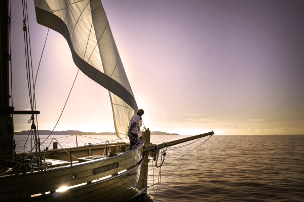 Evening sailing cruise in the Frioul's Island - Quay of Honor Town Hall - Expérience Côte d'Azur