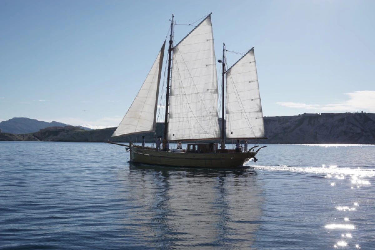 Evening sailing cruise in the Frioul's Island - Quay of Honor Town Hall - Expérience Côte d'Azur