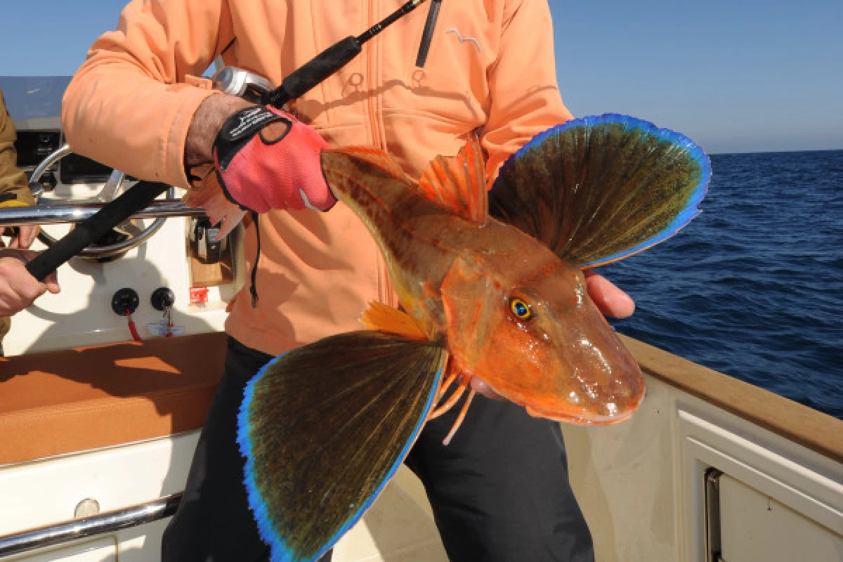 Coastal & familial fishing trip by boat - Expérience Côte d'Azur