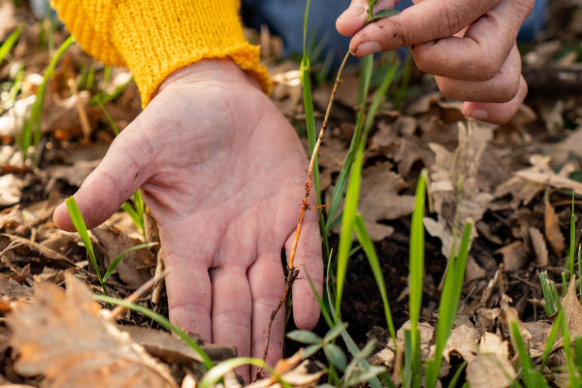 Art and Nature school outing: Rainbows in the maquis! - Expérience Côte d'Azur