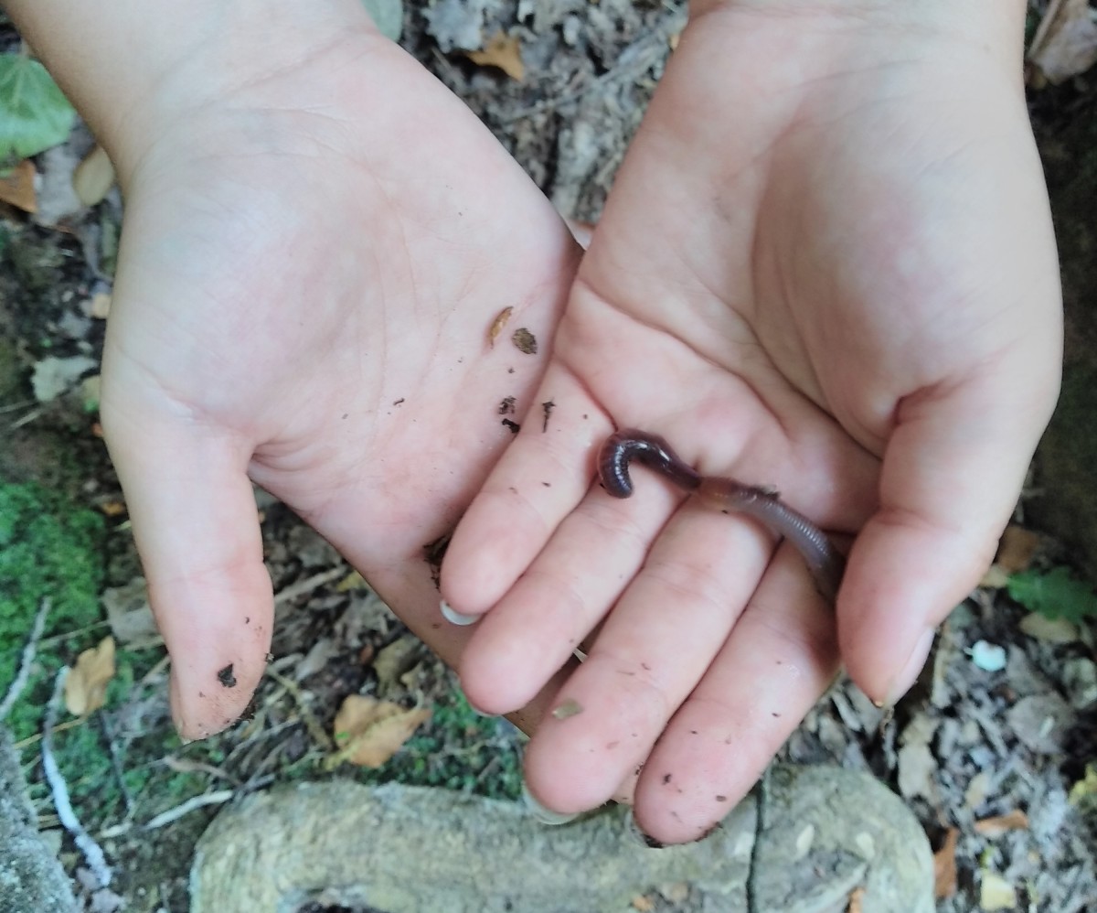 School outing: let's garden organically! - Expérience Côte d'Azur