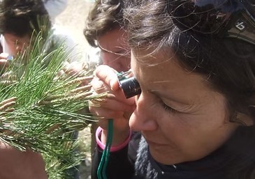Nature school outing: Let's go foraging! - Expérience Côte d'Azur