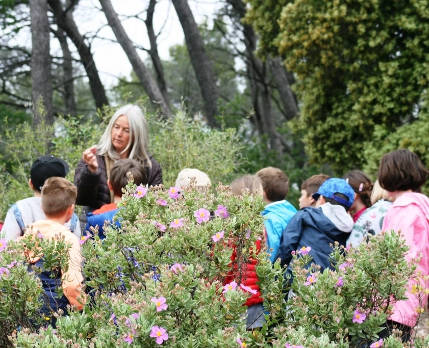 Nature school outing: Let's go foraging! - Expérience Côte d'Azur