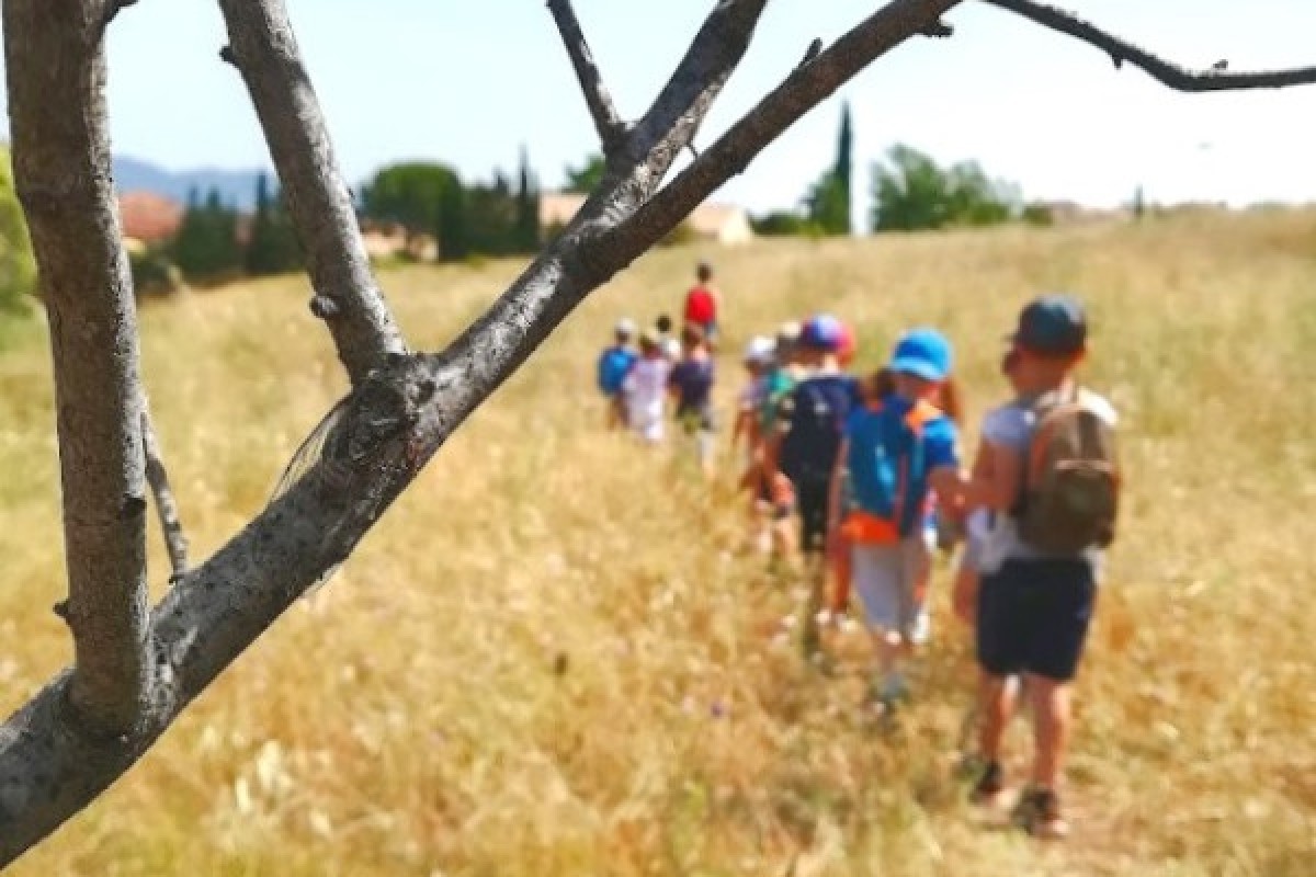 Nature school outing: Insect catcher! - Expérience Côte d'Azur