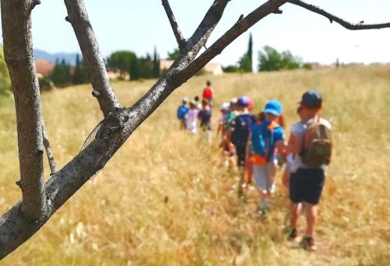 School nature outing: Insect Catching! - Expérience Côte d'Azur