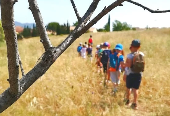 School nature outing: Insect Catching! - Expérience Côte d'Azur