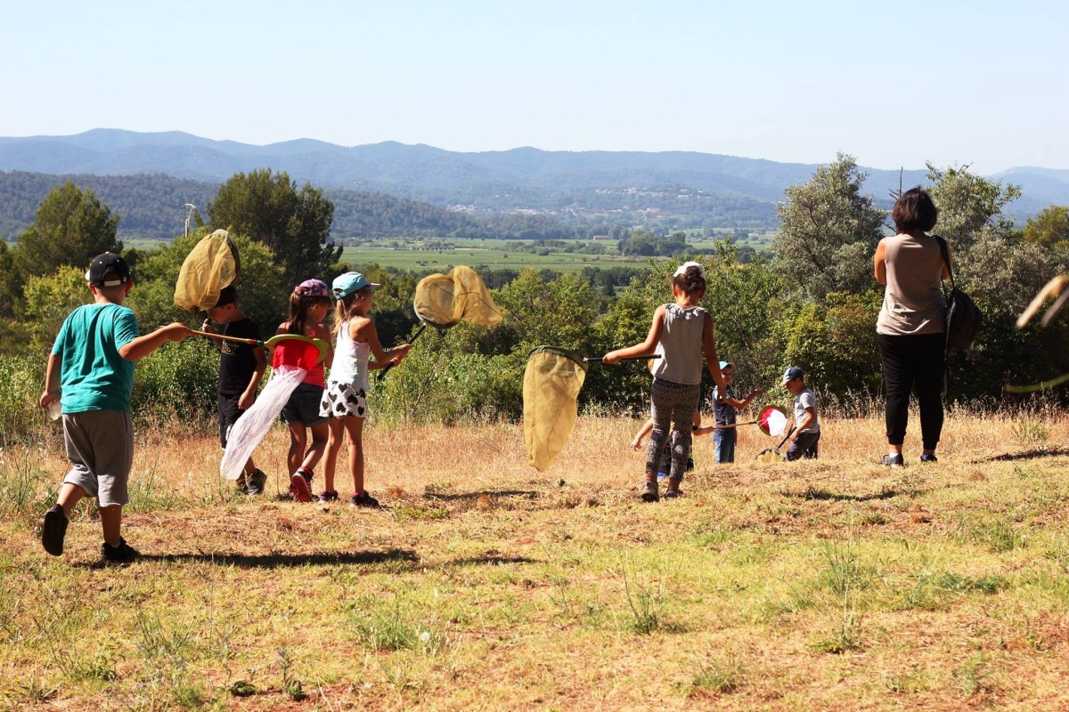 School nature outing: Insect Catching! - Expérience Côte d'Azur