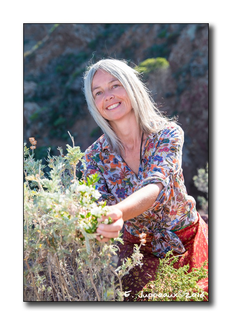 School nature outing: Insect Catching! - Expérience Côte d'Azur