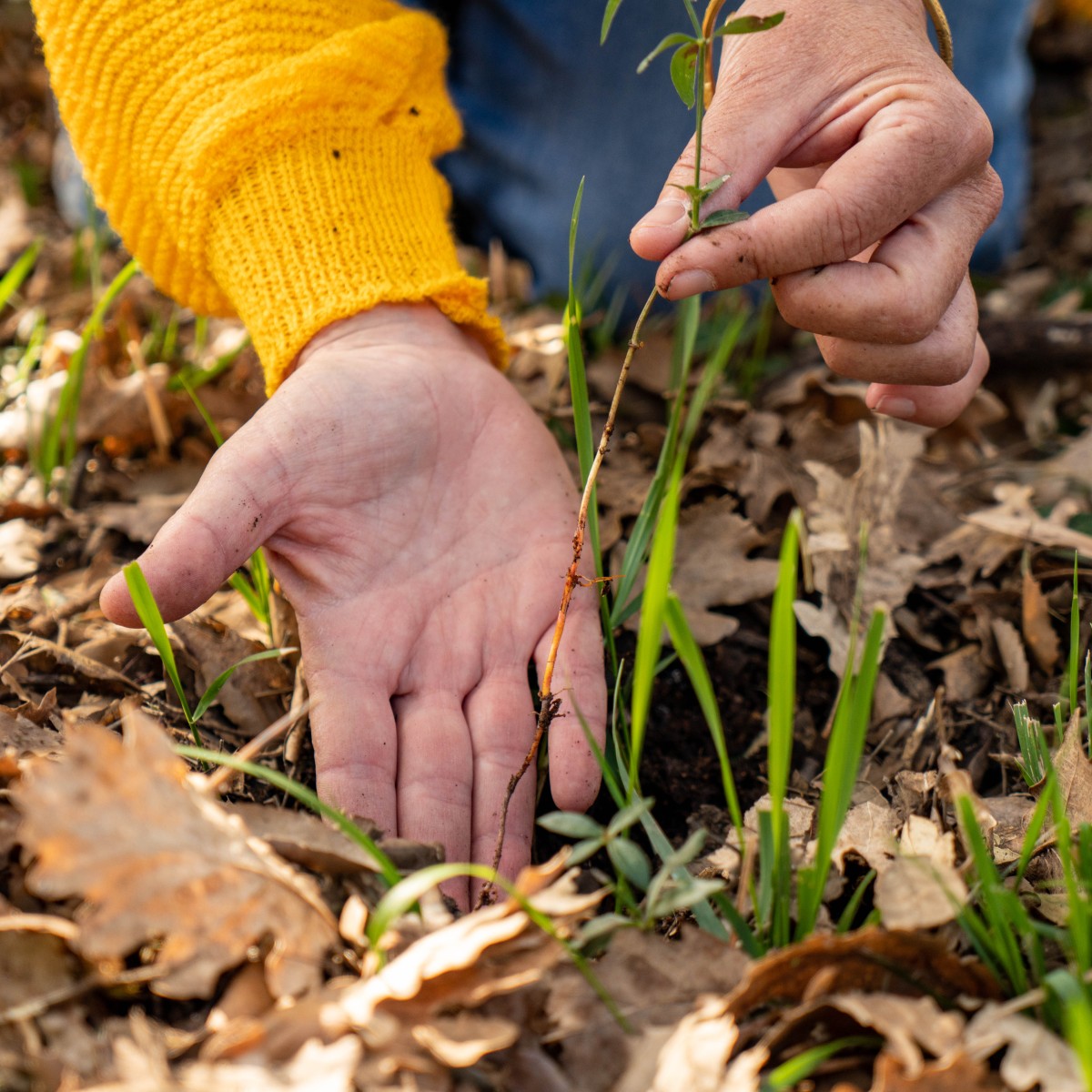School Nature Outing: Easy the Soil! - Expérience Côte d'Azur