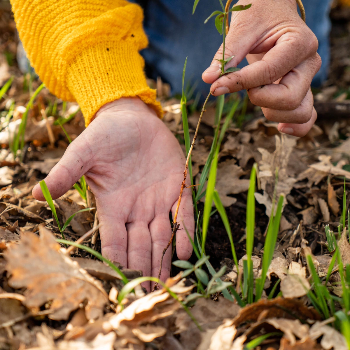 School Nature Outing: Easy the Soil! - Expérience Côte d'Azur