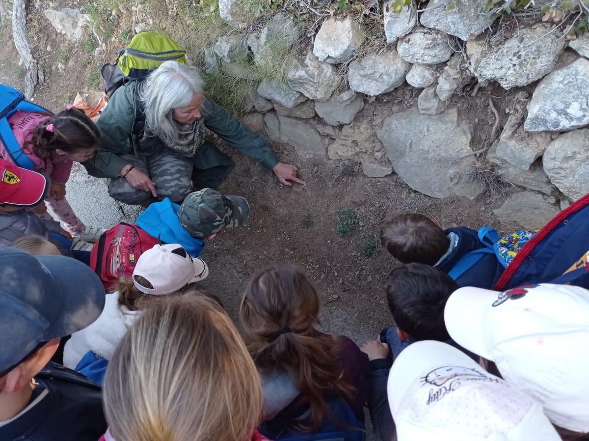 School Nature Outing: Easy the Soil! - Expérience Côte d'Azur