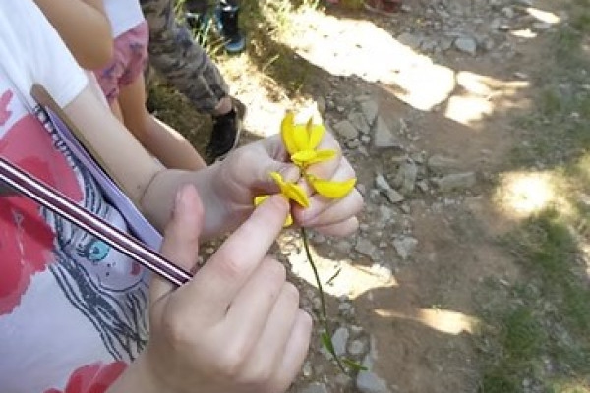 Nature field trip: A tale of flowers! - Expérience Côte d'Azur