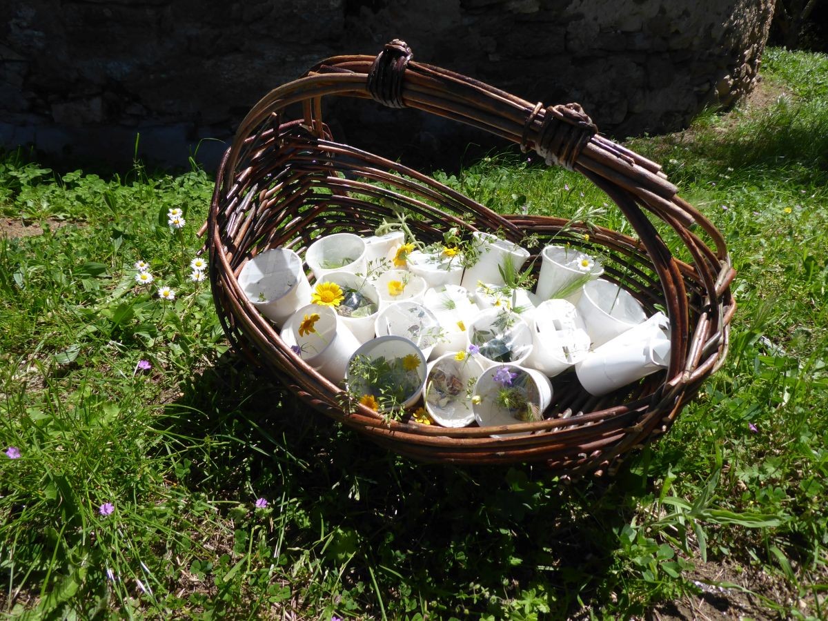 School Nature Outing: The Story of Flowers! - Expérience Côte d'Azur