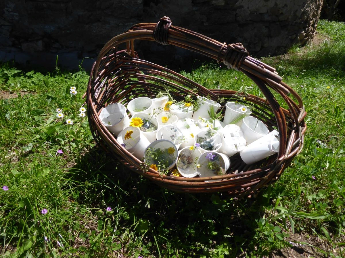 School Nature Outing: The Story of Flowers! - Expérience Côte d'Azur