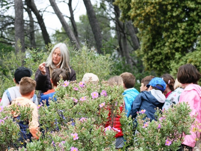 School nature outing: Prehistory through traces - Expérience Côte d'Azur
