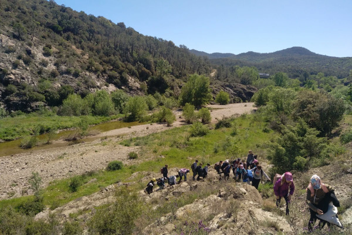 Nature field trip: Reading landscapes! - Expérience Côte d'Azur