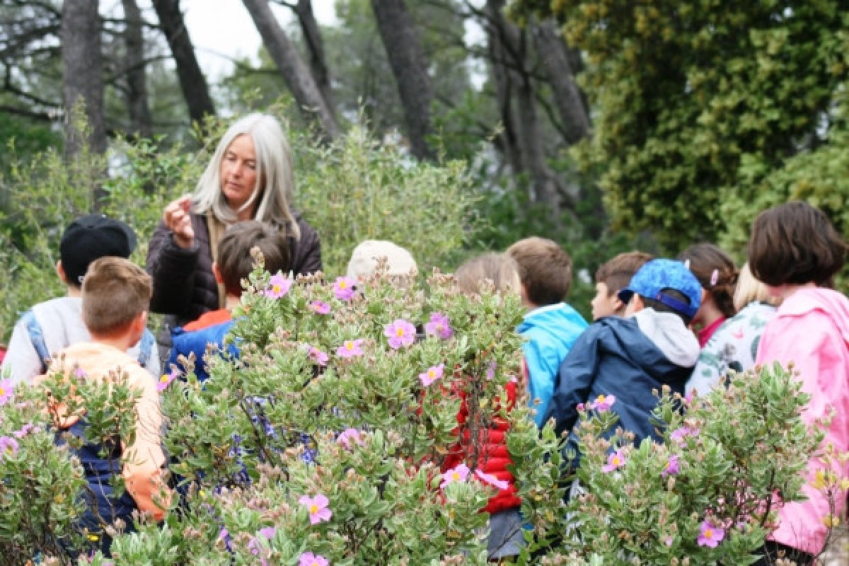 School outing: a geological trip! - Expérience Côte d'Azur