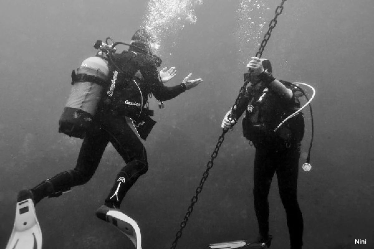 Supervised Diver Training 12m - Expérience Côte d'Azur