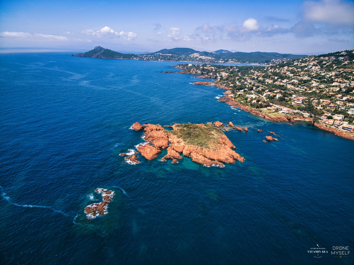 St-Raphaël: Calanques de l'Esterel by boat and snorkeling - Expérience Côte d'Azur