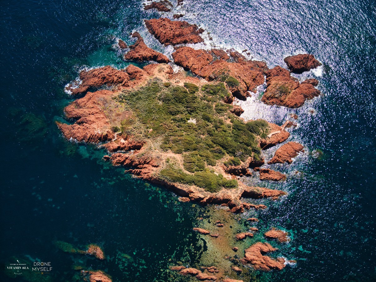 St-Raphaël: Calanques de l'Esterel by boat and snorkeling - Expérience Côte d'Azur