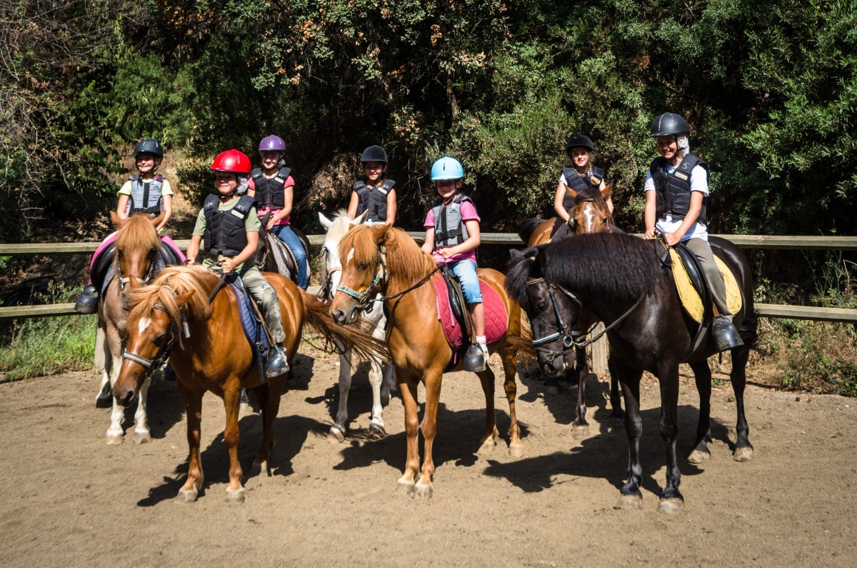 Riding lessons: Pegasus from age 8 - Expérience Côte d'Azur