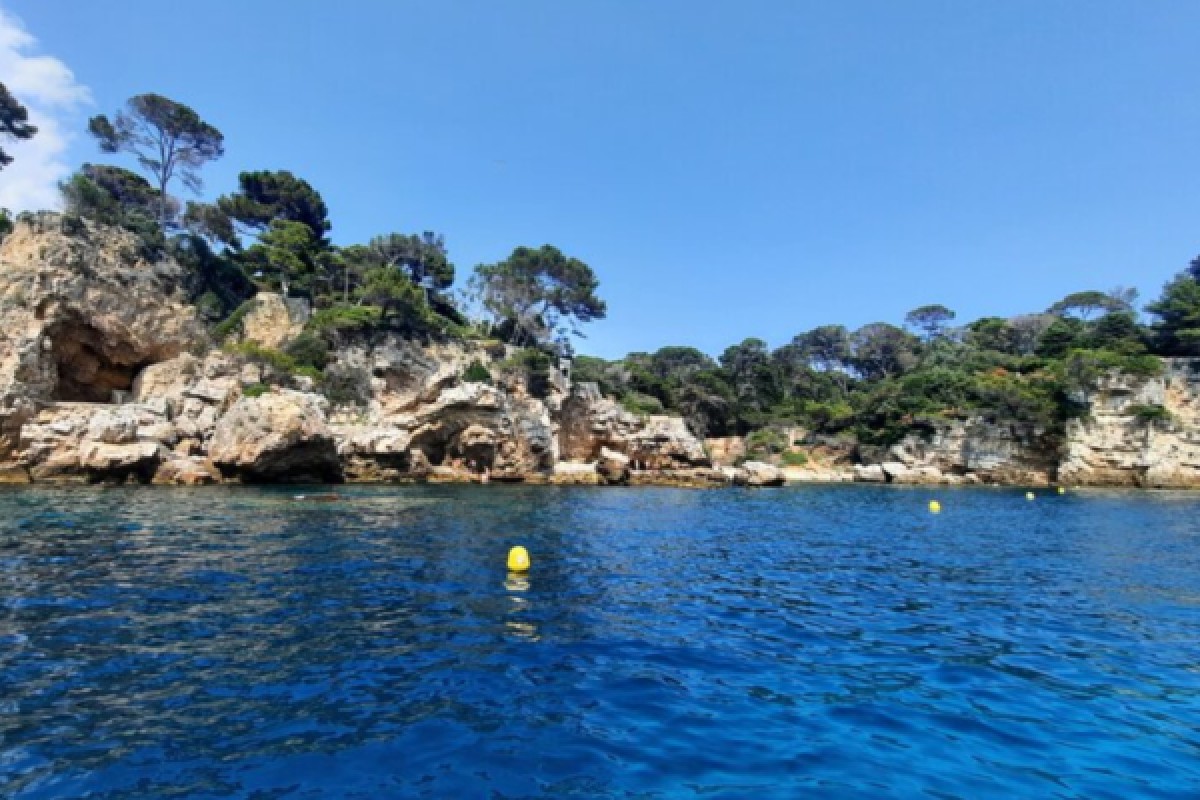 Private Sailing Tour - Swimming and Paddleboarding - Cap d'Antibes - Expérience Côte d'Azur