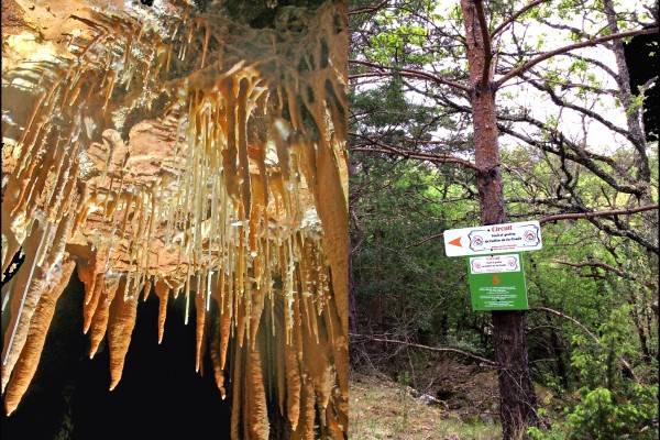 Visit and treasure hunts in the cave and in the forest - Expérience Côte d'Azur