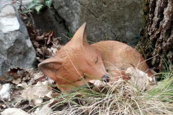 Visit and treasure hunts in the cave and in the forest - Expérience Côte d'Azur