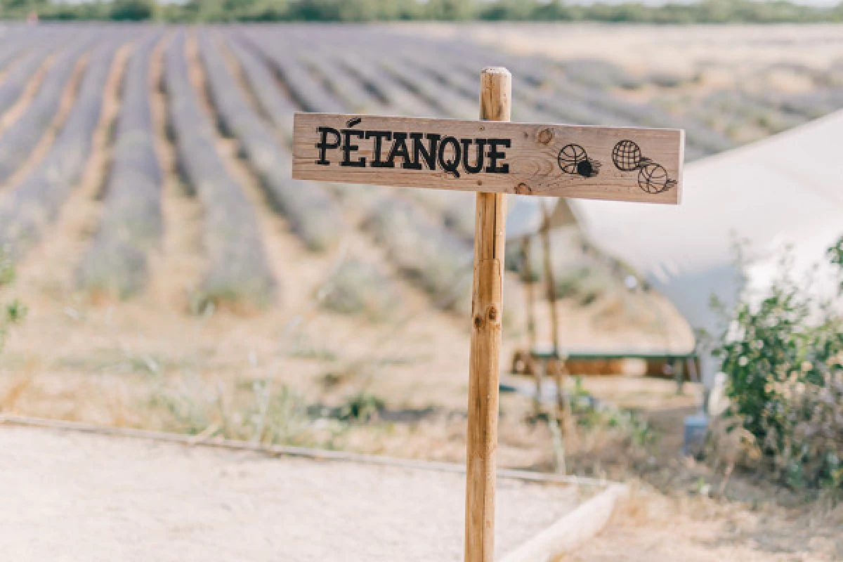 Visit Lavender field in Aix en Provence - Expérience Côte d'Azur