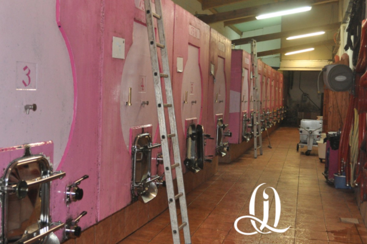 Guided tour of the estate - Jas des Oliviers - Expérience Côte d'Azur