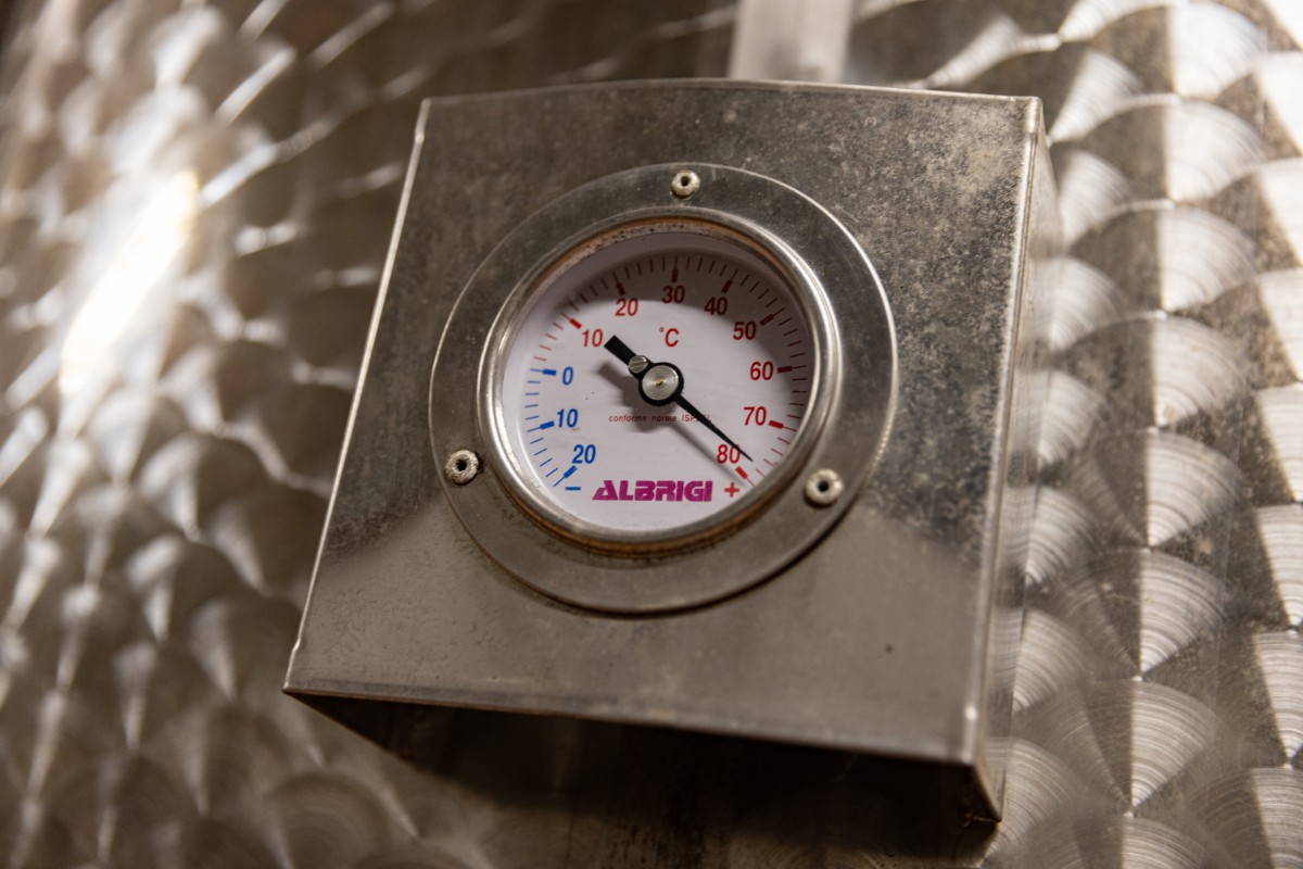 Guided tour of the estate - Jas des Oliviers - Expérience Côte d'Azur