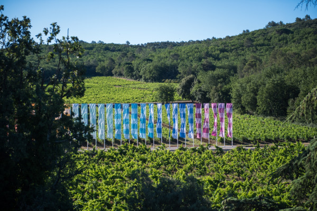 Self-guided tour between art, vineyards and forest - Expérience Côte d'Azur