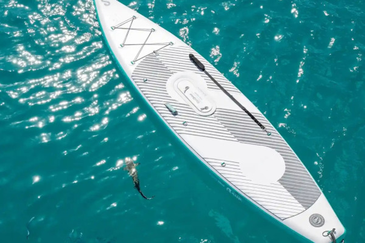 WGP LA NARTELLE - E-SUP rental (Sipaboard) - Expérience Côte d'Azur